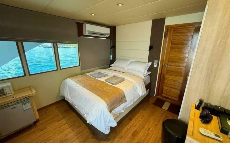 Каюта Seaview Deluxe Лайнера North Seven
