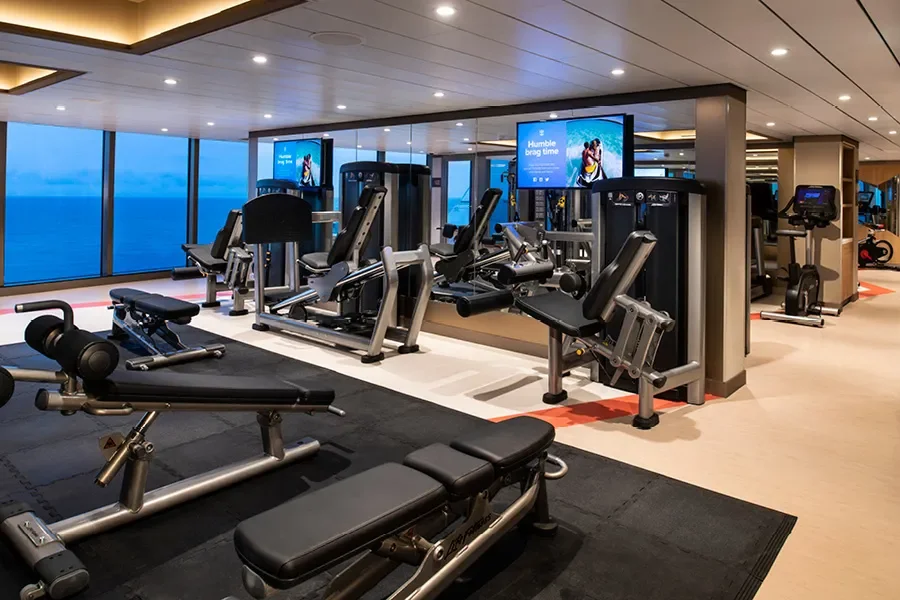 Тренажеры Теплохода Spectrum of the Seas (Русскоязычные круизы)